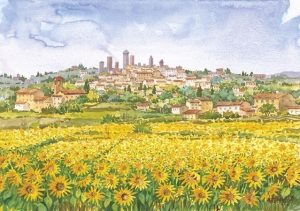 14 S. Gimignano - Il girasole osserva incantato la Città Medioevale