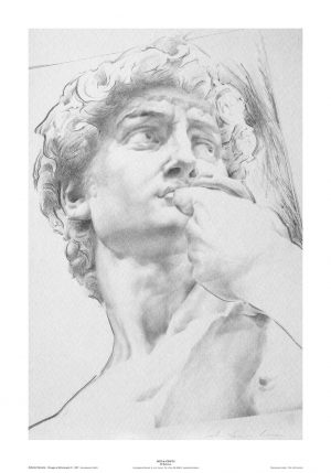 Poster 03 Omaggio a Michelangelo: Volto del David